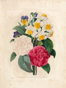 Buquê de Camélias, Narcisos e Amores-perfeitos, gravados por Victor, de &39;Escolhendo as Flores Mais Bonitas e as Mais Belas Frutas&39;, vol. Eu, 1827-33